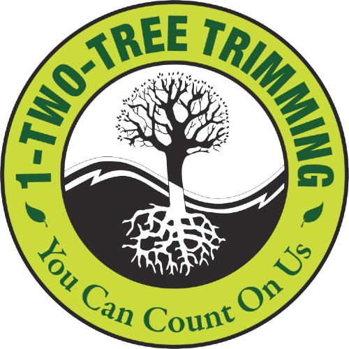 1_Two_Tree_Trimming_San_Antonio_TX- (1)